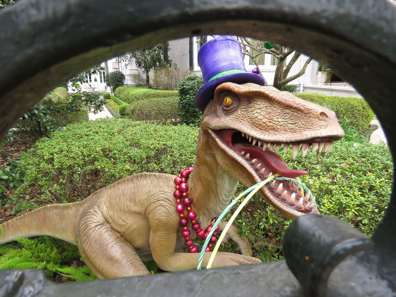 Virus Outbreak Paradeless Mardi Gras